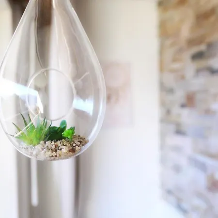 Plein Ciel I Balcony I Close To Cable Cars I Car Park Holiday home Crans-Montana