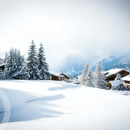Plein Ciel I Balcony I Close To Cable Cars I Car Park Casa vacanze Crans-Montana